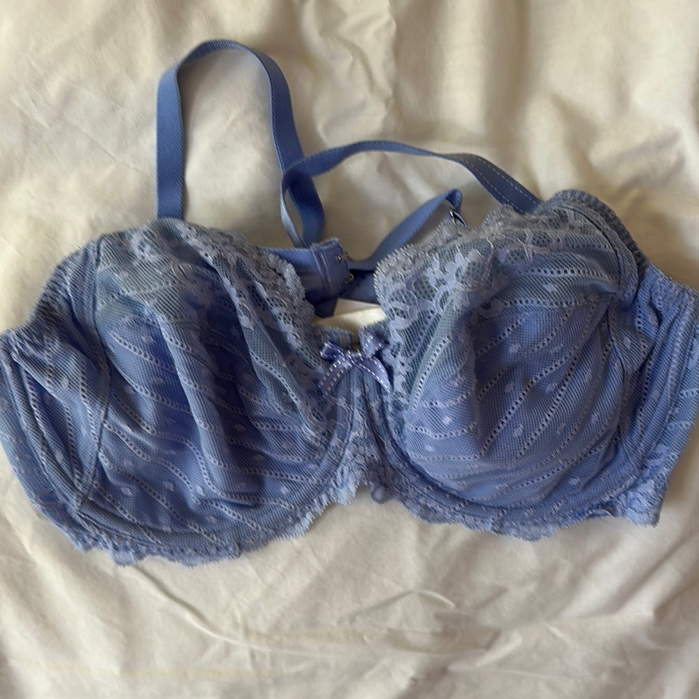 Chantelle 38E Baby Blue Bra